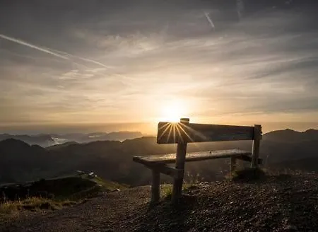 Sunny Mountain * مونستر