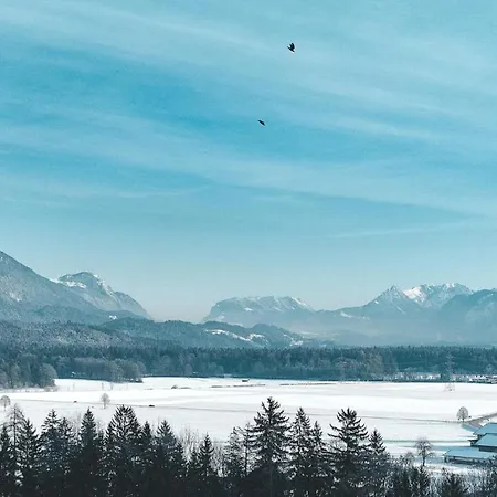 Sunny Mountain مونستر