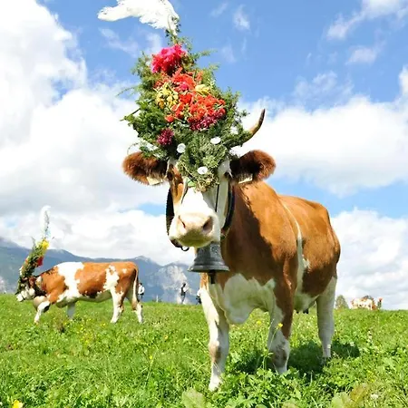 شقة Sunny Mountain