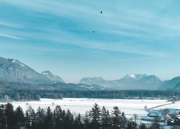 Sunny Mountain Münster