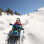Sunny Mountain