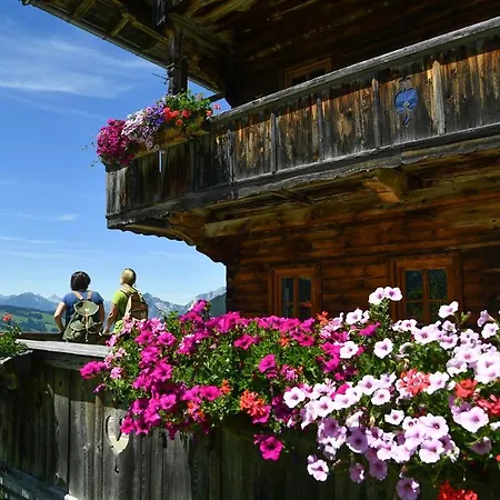 Sunny Mountain * Munster