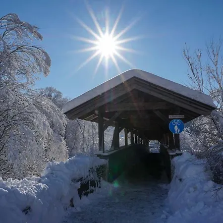 Sunny Mountain * 뮌스터